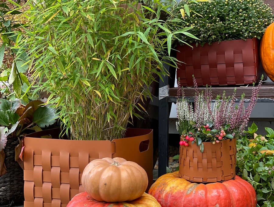 Новые цвета в палитре ADJ