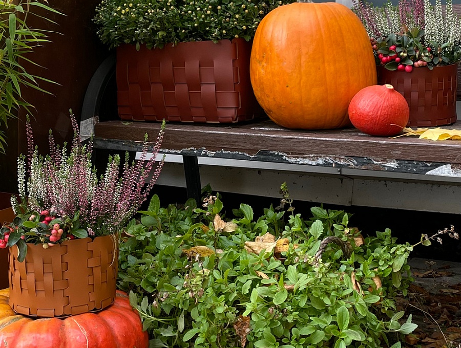 Новые цвета в палитре ADJ