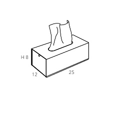 Салфетница для Kleenex Steel 25x12xH8
