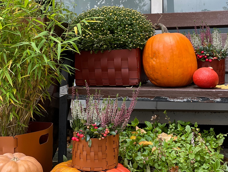 Новые цвета в палитре ADJ